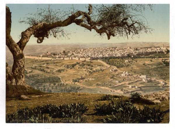 Mount Scopus