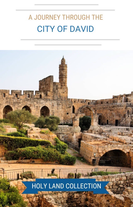 A Journey Through The City of David