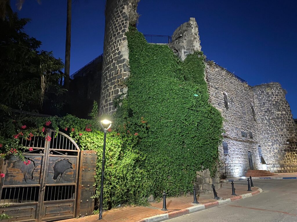 Dona Castle