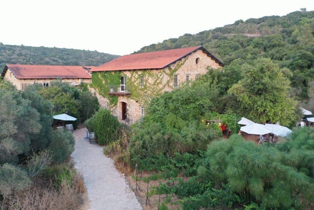Amphorae Winery