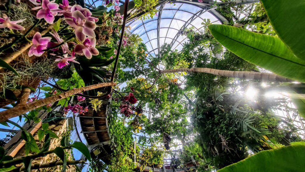 Jerusalem Botanical Gardens