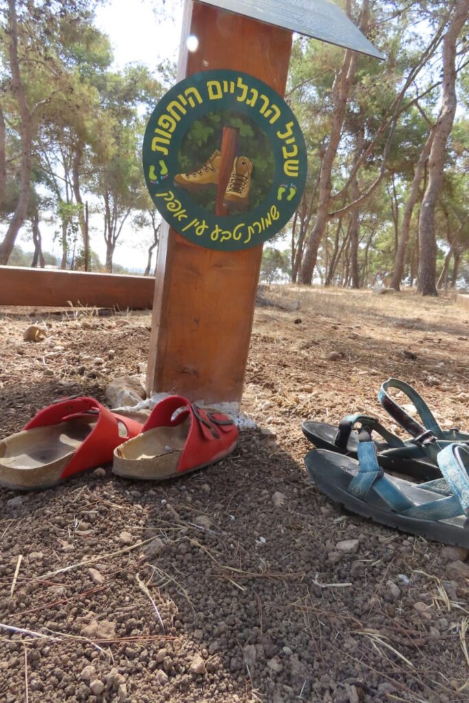 En Afek Nature Reserve