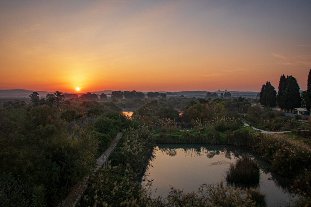 En Afek Nature Reserve