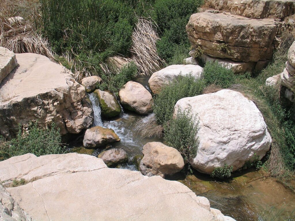 En Prat Nature Reserve
