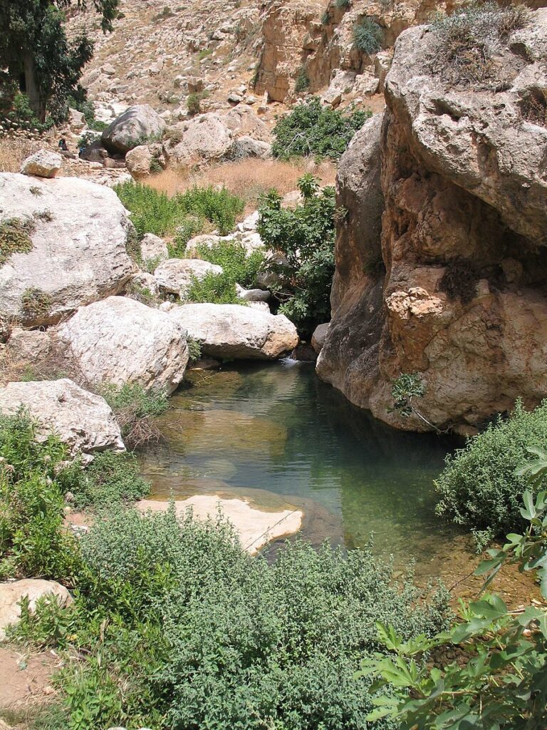 En Prat Nature Reserve