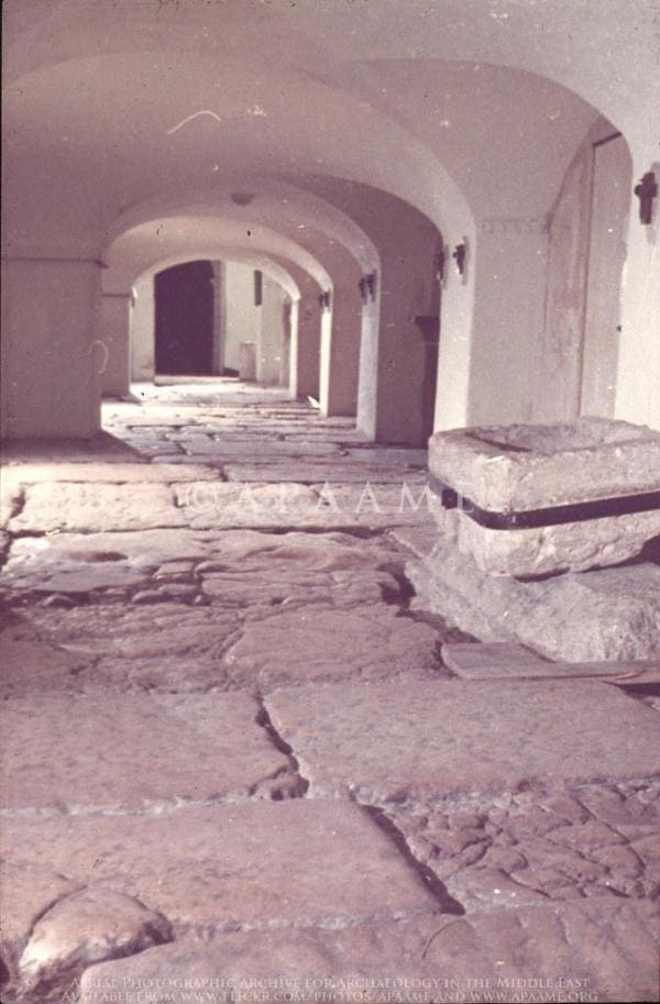Lithostrotos