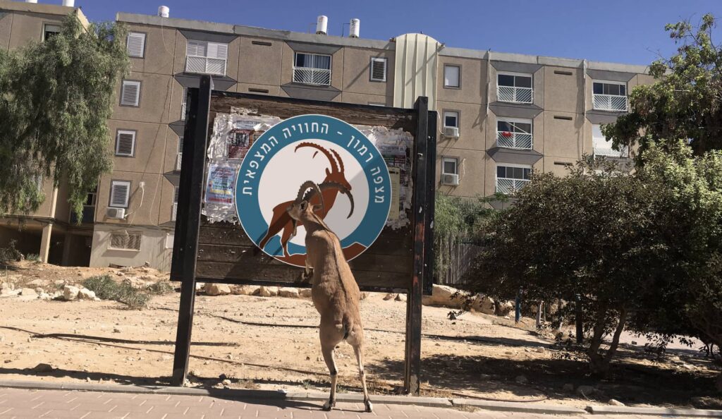 Mitzpe Ramon