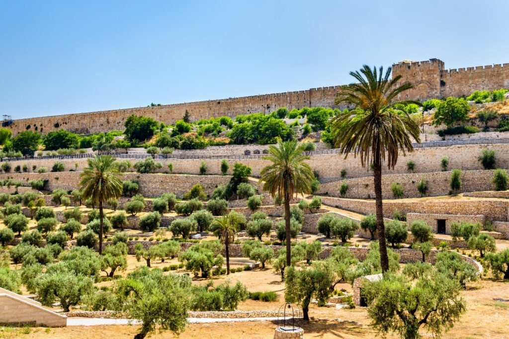 Mount of Olives