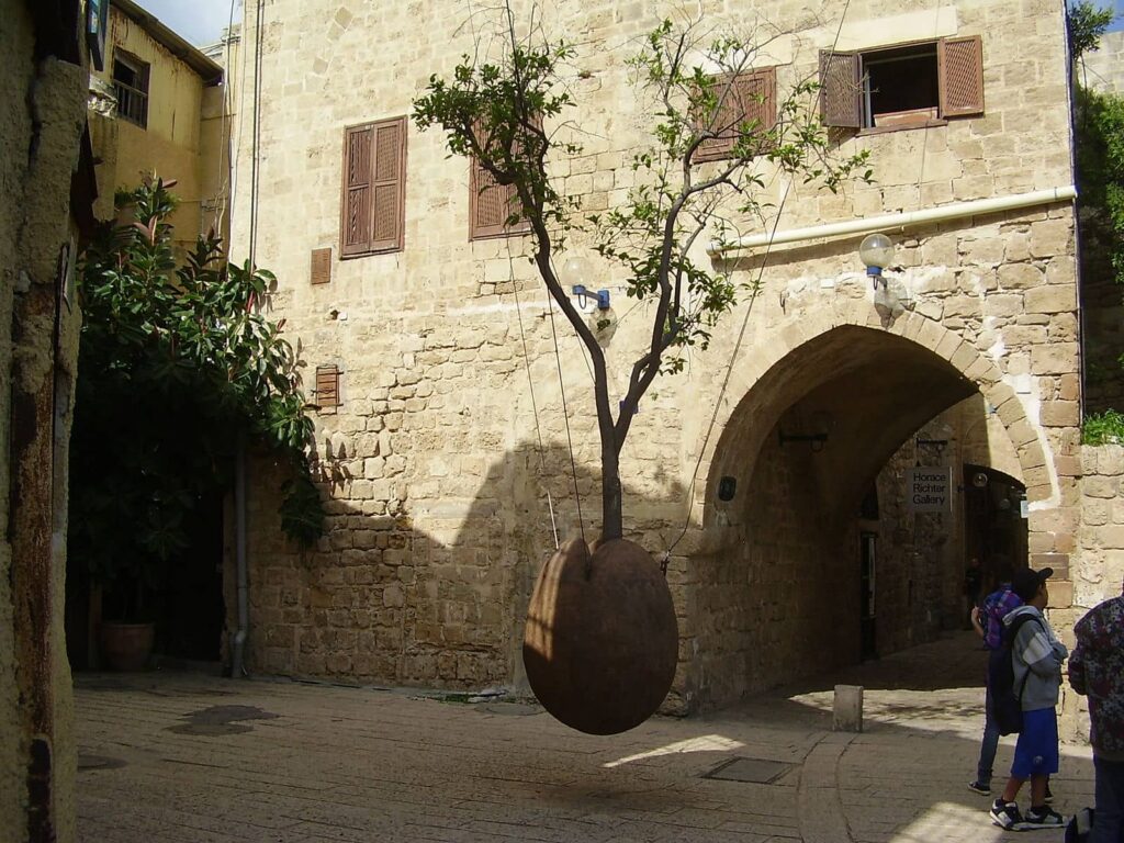 Suspended Orange Tree