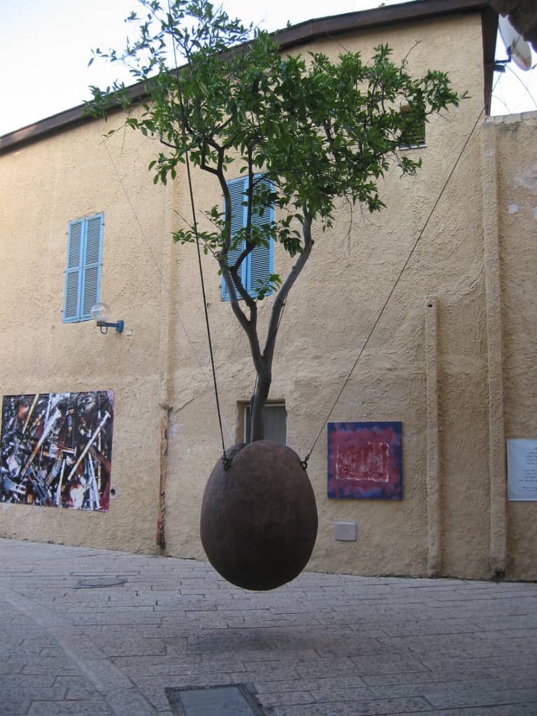 Suspended Orange Tree