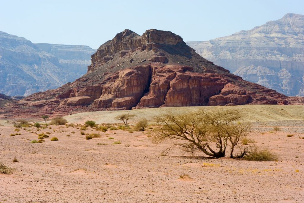Timna Park