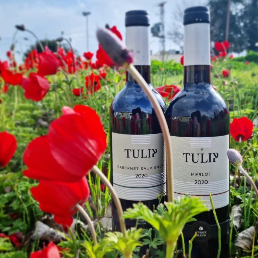 Tulip Winery