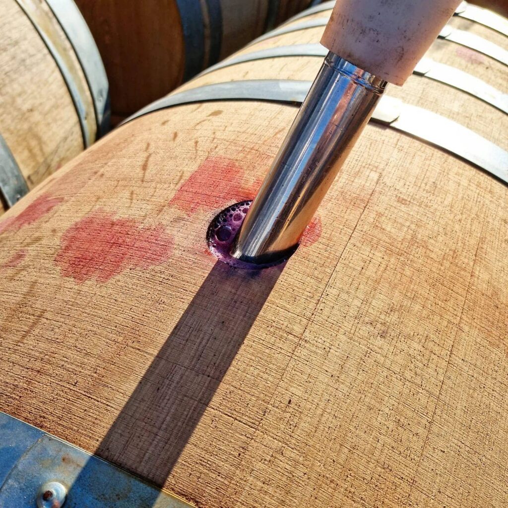 Tulip Winery