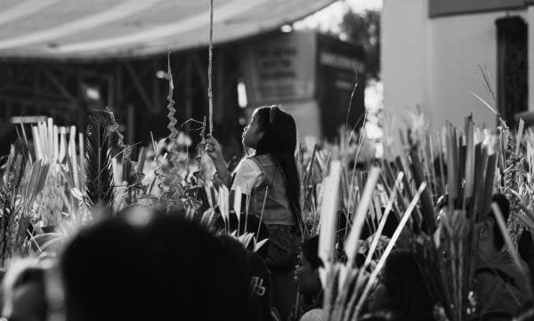Palm Sunday