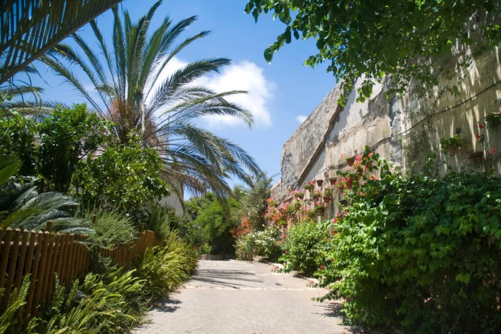 Zichron Yaakov Pedestrian Mall