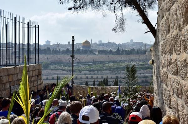 Palm Sunday Procession on the Mount of Olives