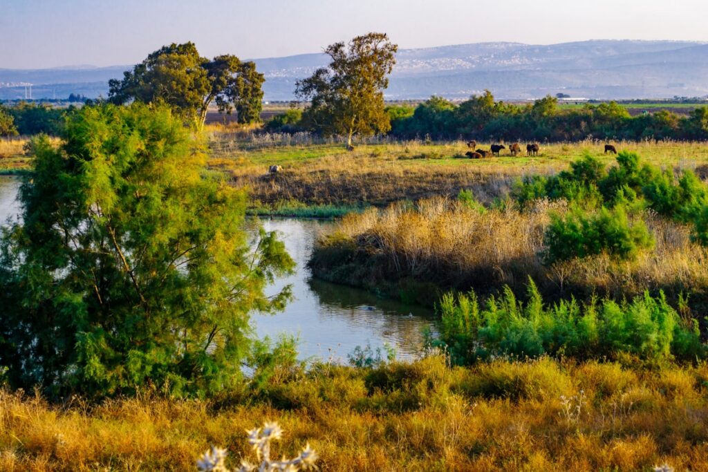 Haifa, Israel: You Go to Jerusalem to Pray, Tel Aviv to Play, and Haifa to Do It All