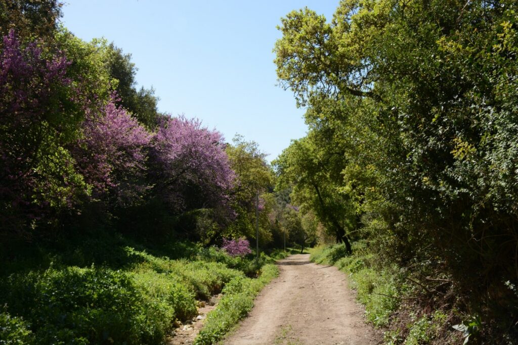 Kiryat Tiv’on, Israel: The Pastoral Paradise of the Galilee
