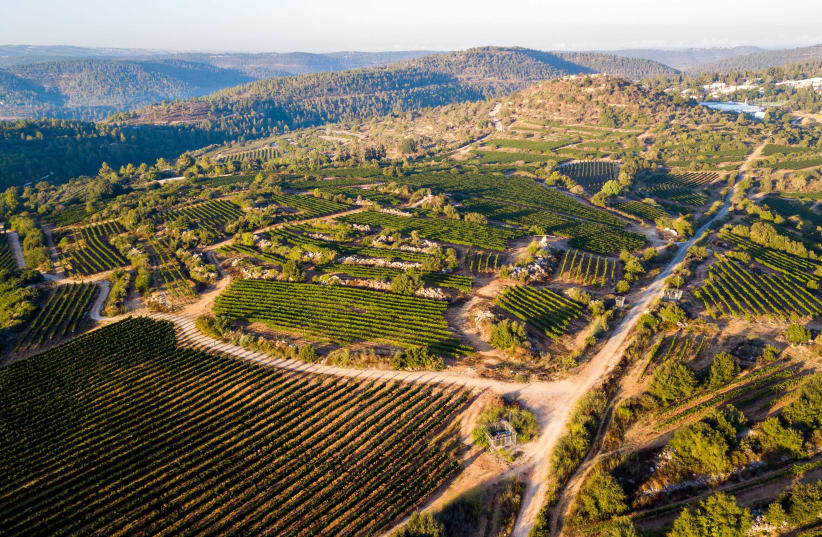 Mate Yehuda Wine Festival