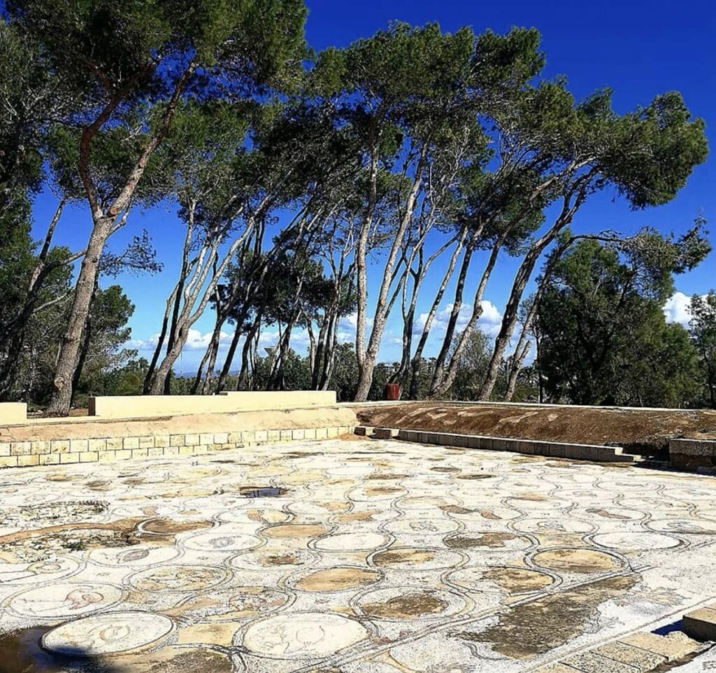 Caesarea Maritima Museum